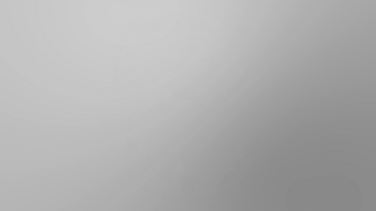 Smooth, light gray gradient background with a subtle, circular texture pattern in the center.