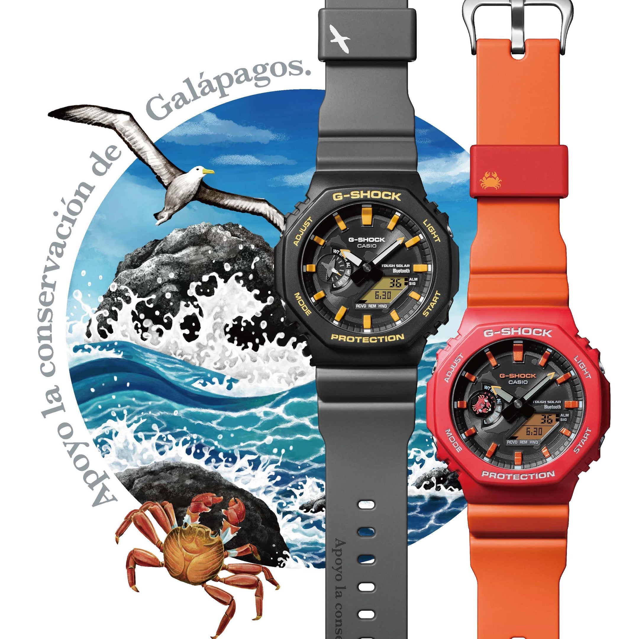 The Next Evolution in the Charles Darwin Foundation Series