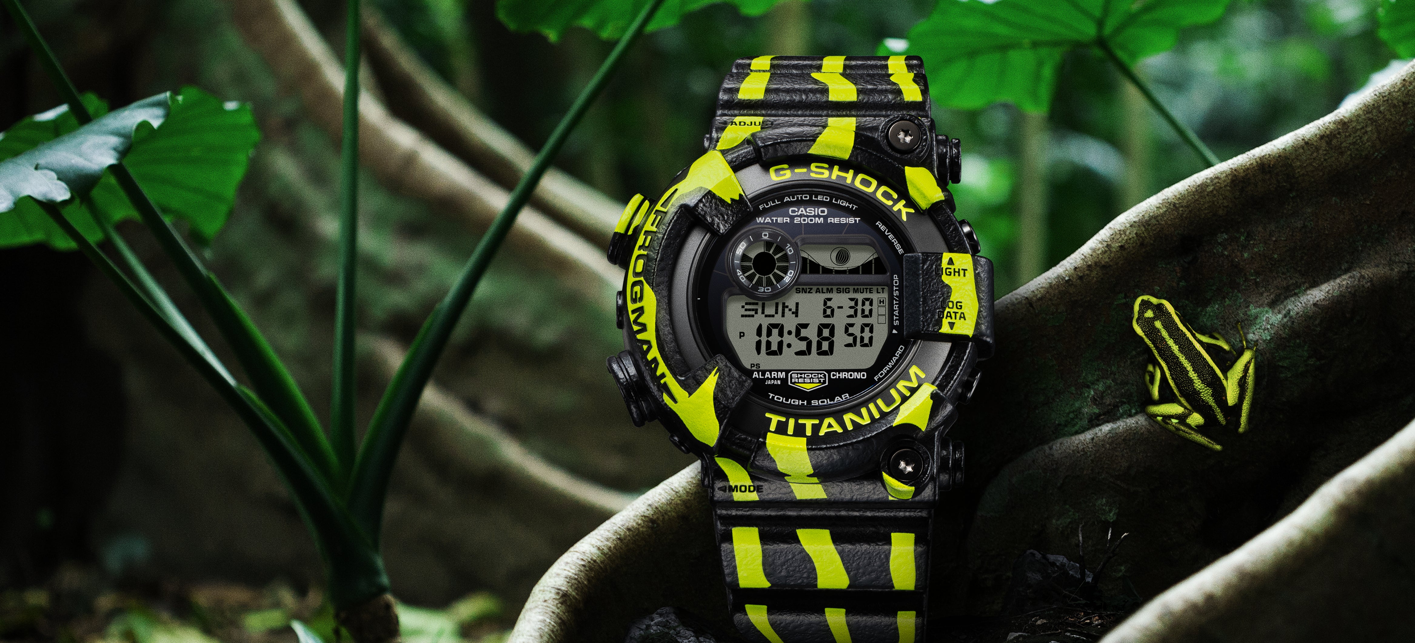 Banner-Desktop_xx.12.