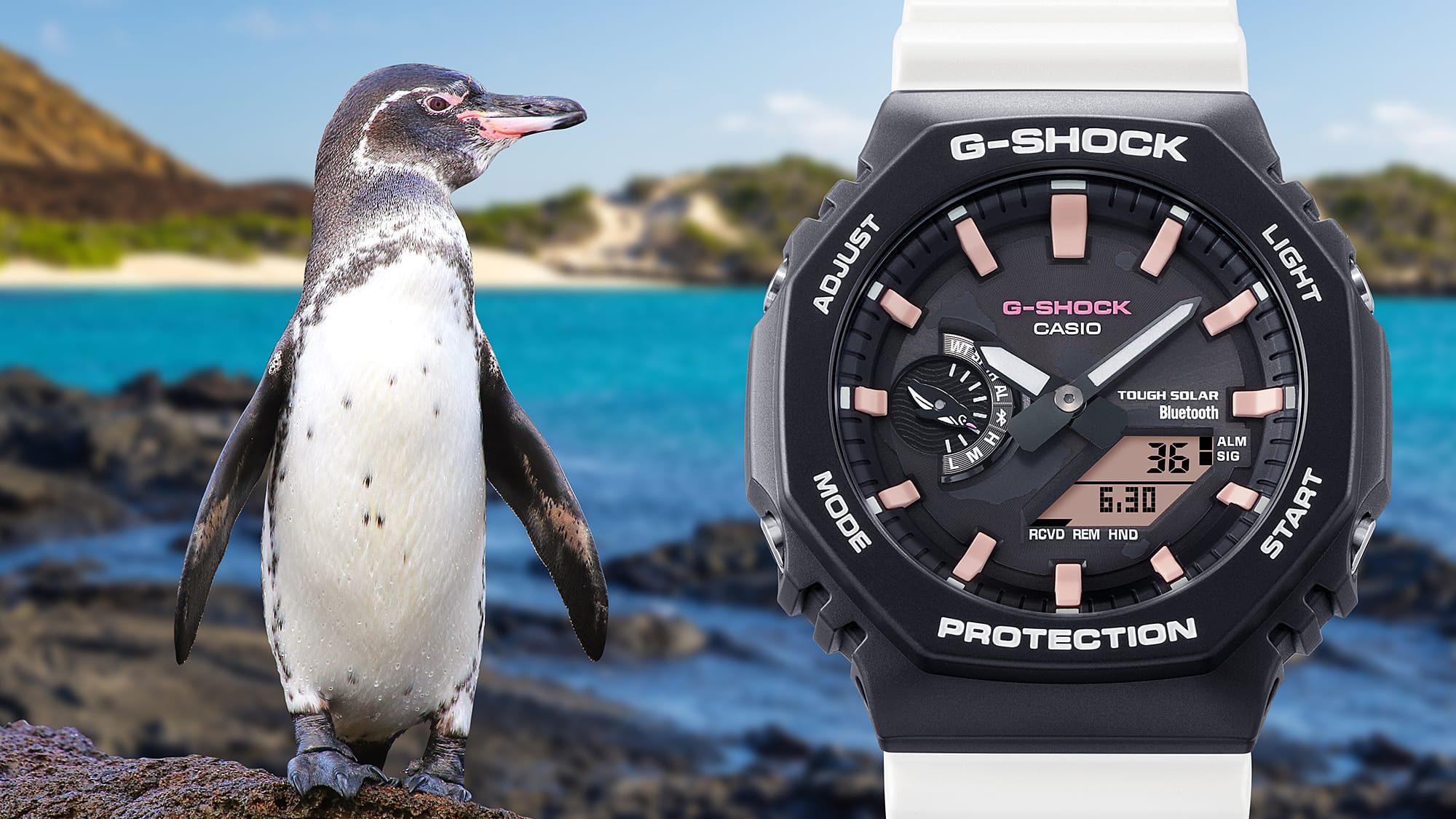 G - SHOCK - GAB2100CD - 1A4 - CASIO Australia