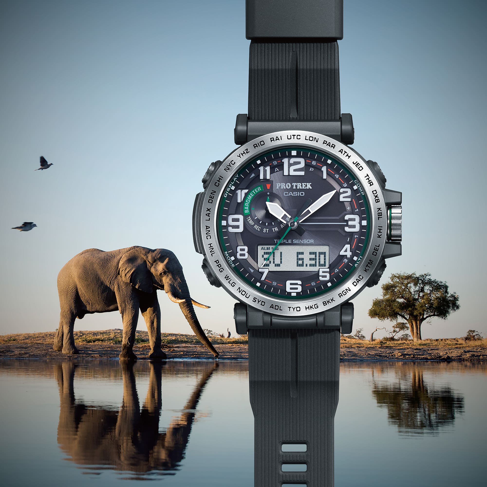 CASIO VINTAGE-PRG601-1D-CASIO Australia